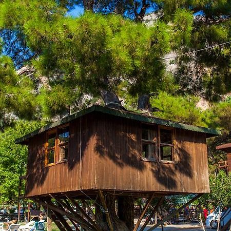 Gorge Club Otel Saklıkent Oda fotoğraf