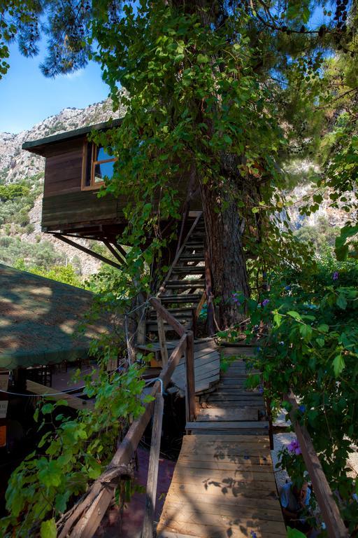 Gorge Club Otel Saklıkent Oda fotoğraf
